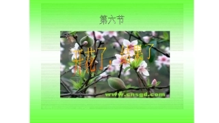 开花了-结果了