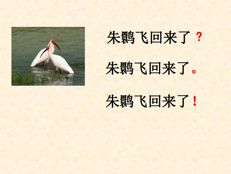 朱鹮飞回来了_第1页