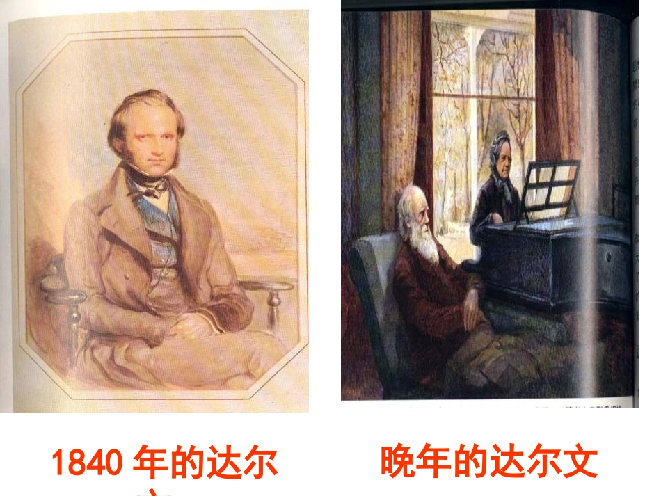 《物种起源绪论》课件2_第2页