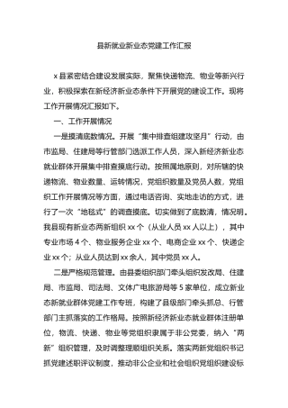 县新就业新业态党建工作汇报