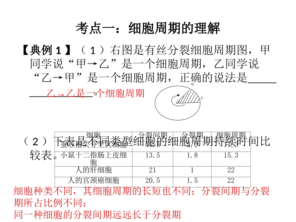 第一节细胞的增殖-(2)_第3页