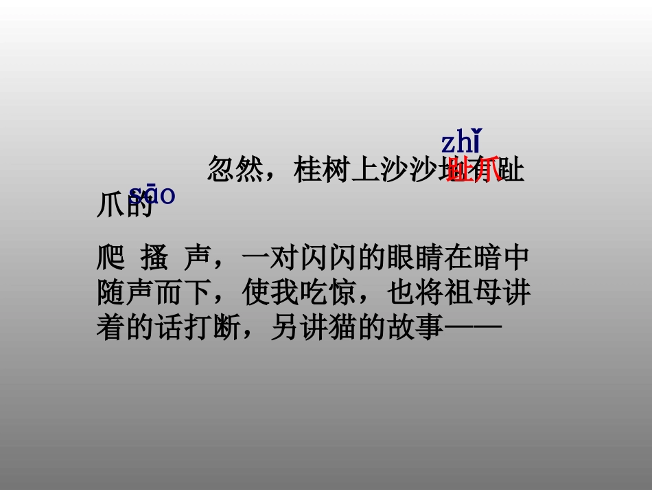 34-猫是老虎的先生_第2页