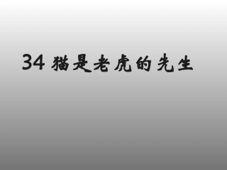 34-猫是老虎的先生