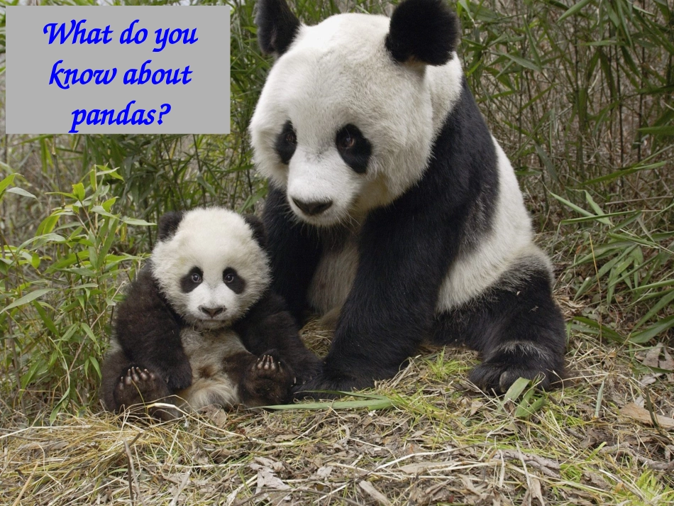 中学八年级英语下册教学课件：Unit-7-Section-B1_第3页