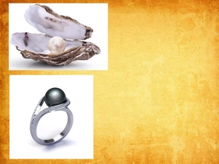 LiteratureSpot4ThePearl