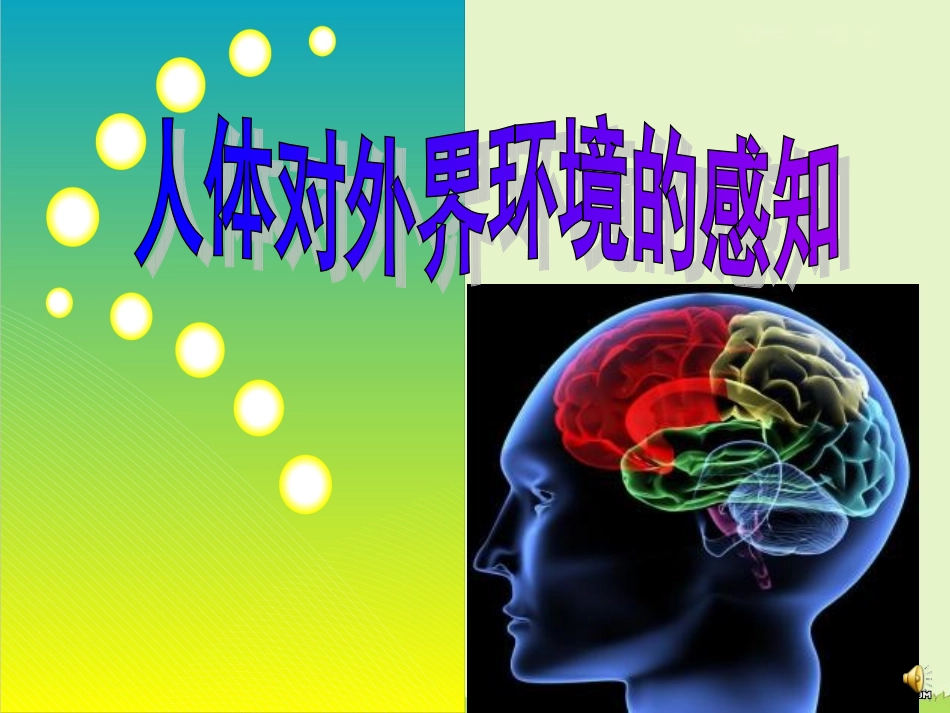 第2节人体对信息的感知_第1页