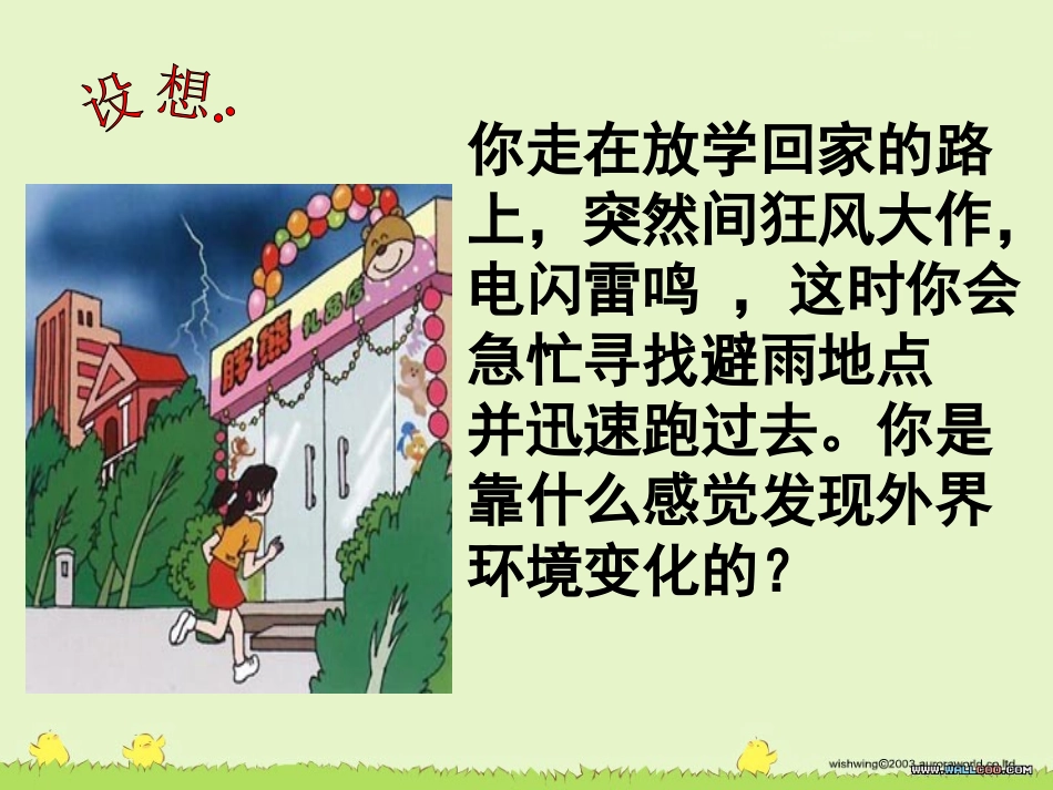 第2节人体对信息的感知_第2页