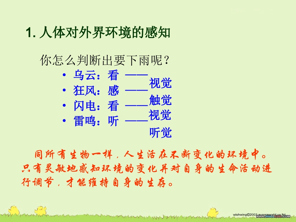 第2节人体对信息的感知_第3页