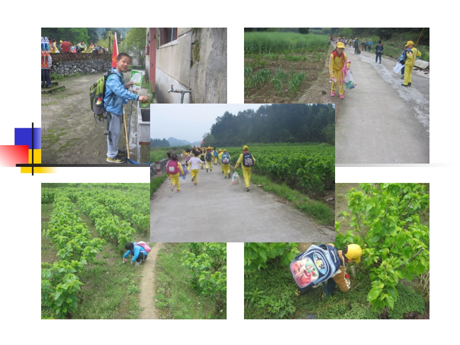 小学数学2011版本小学四年级平均数课件_第1页