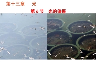 3.光的衍射与偏振