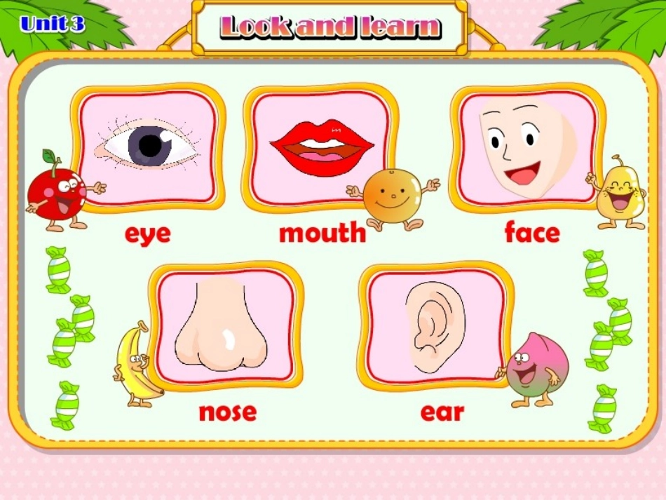 Module-1-Getting-to-know-you-Unit-3-My-face-课件2_第2页