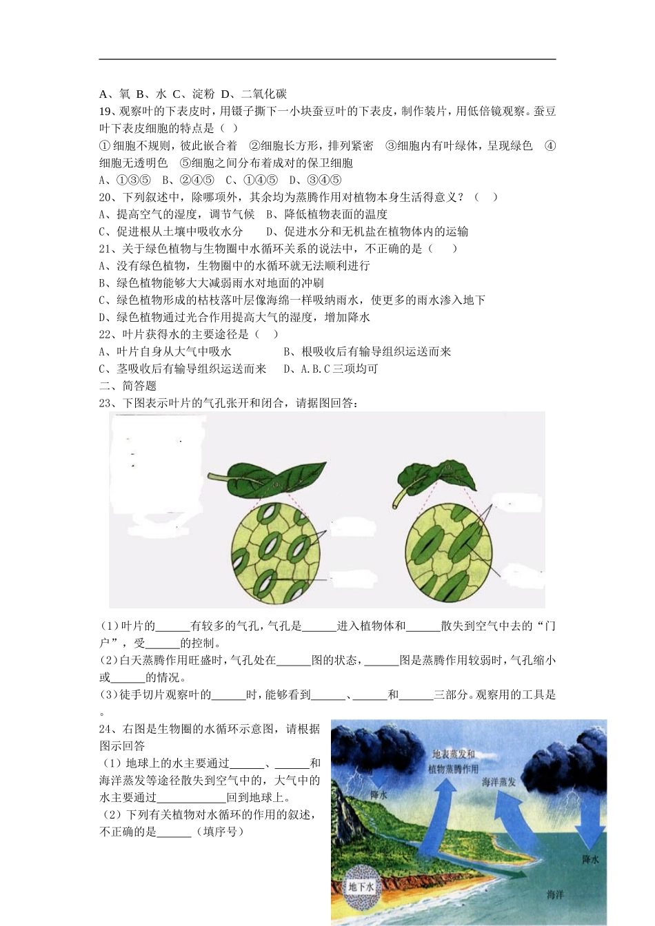 七年级生物上册第三单元第三章第三节绿色植物参与生物圈的水循环人教版_第3页