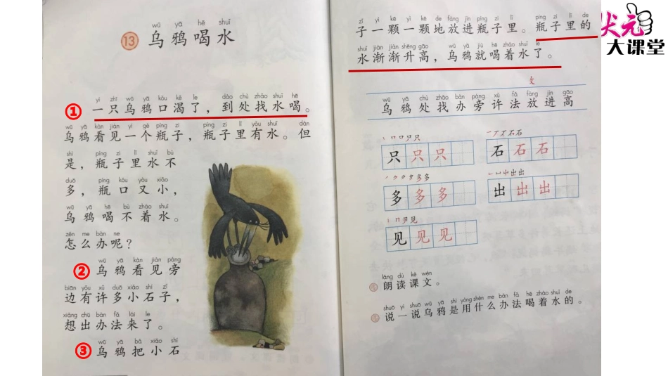 13乌鸦喝水_第3页