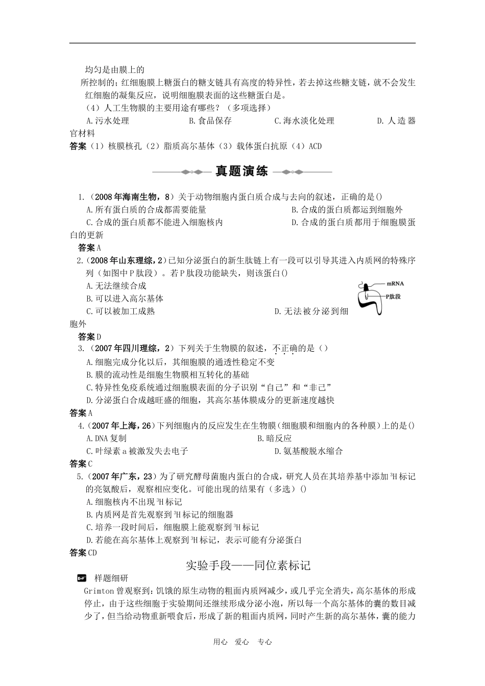 高中生物高考考点突破：第6讲《蛋白质的合成与运输》人教版必修1_第3页