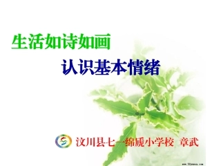 班主任实务案例