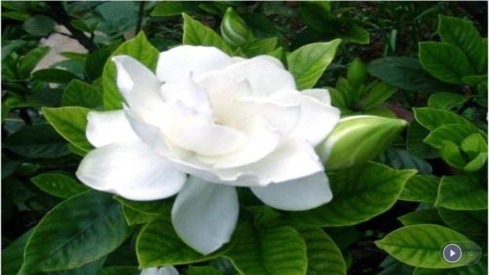 ②迷人的夏天_第2页