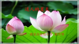 ②迷人的夏天