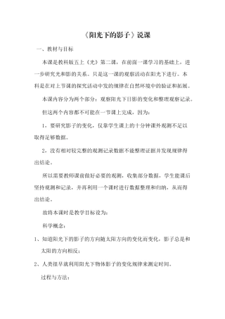 阳光下的影子