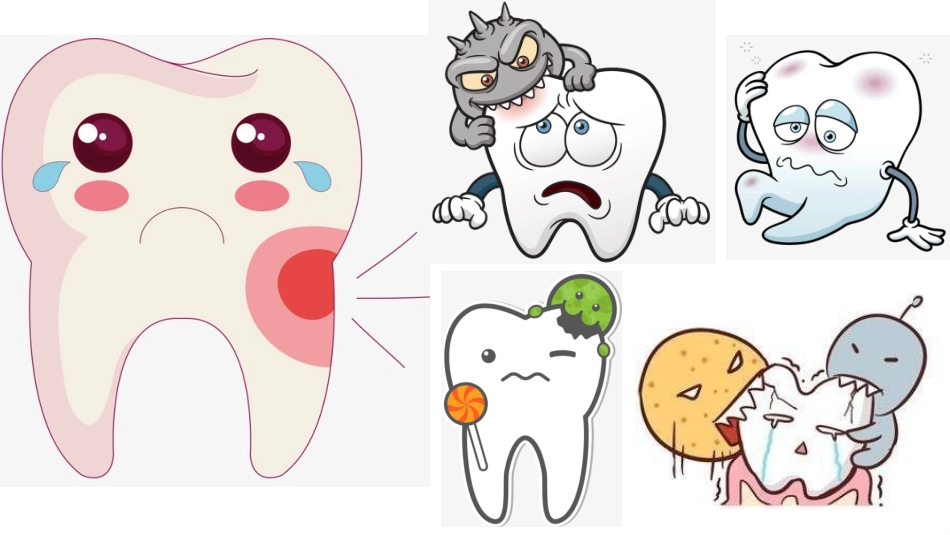 6.我们的“爱牙日”_第3页