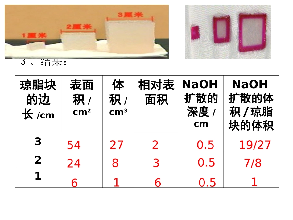 科学前沿组装细胞-(2)_第3页