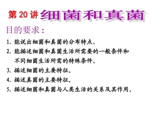 20细菌真菌