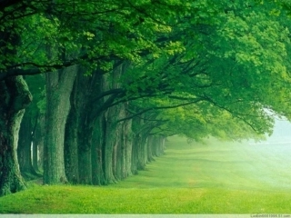 三、探究凸透镜成像的规律