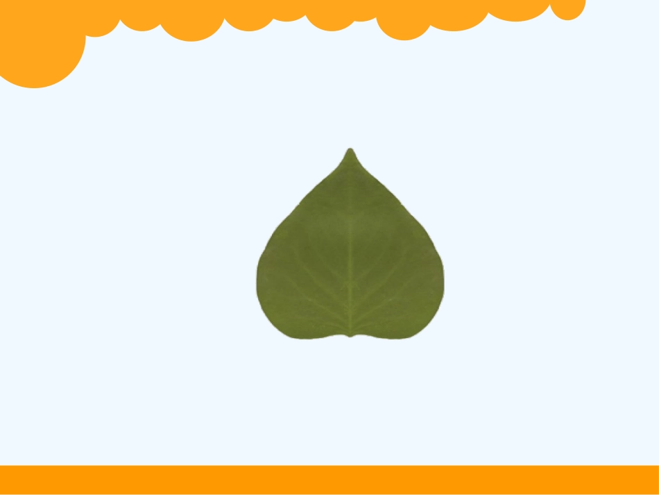 小学数学北师大2011课标版三年级什么是周长-(4)_第2页