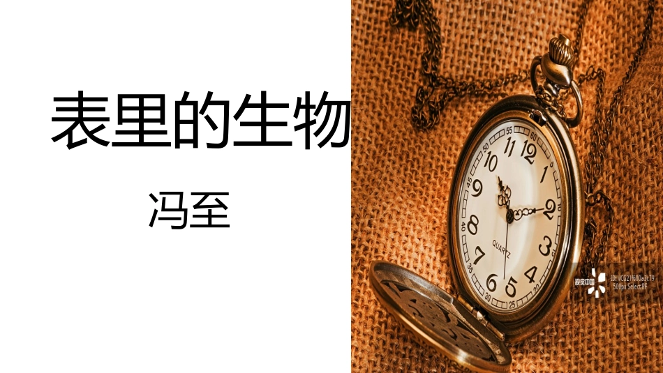 13-表里的生物-(4)_第1页