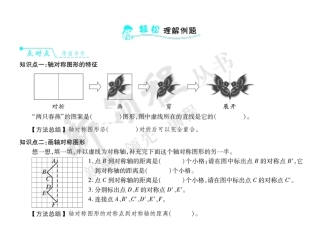 人教2011版小学数学四年级平移练习