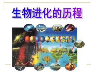 22.2进化历程wcy