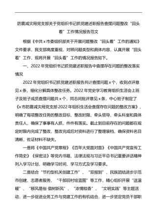 防震减灾局党支部关于党组织书记抓党建述职报告查摆问题整改回头看工作情况报告