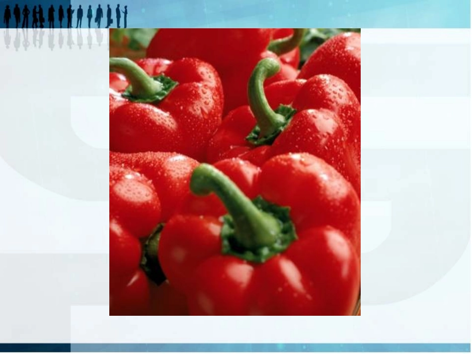 第11课-对比的艺术_第3页