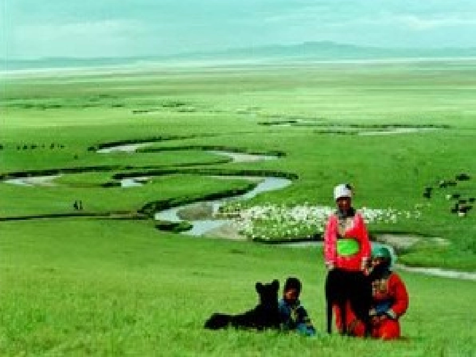 草原就是我的家1_第3页