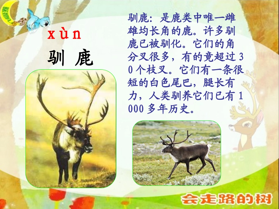 会走路的树(月)_第2页