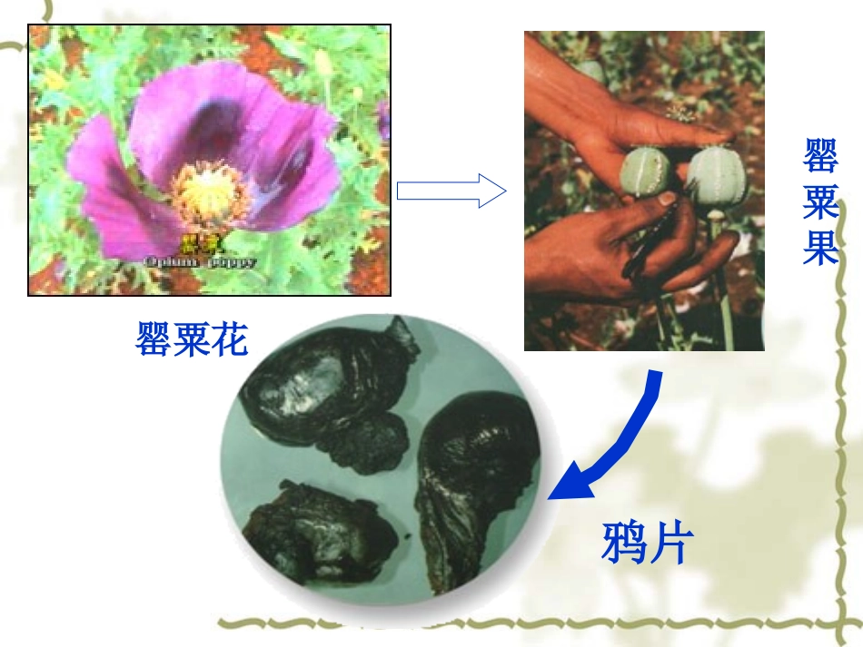 鸦片战争-55_第3页