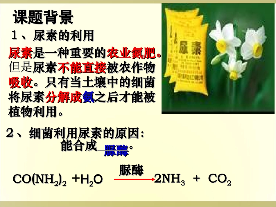 课题2-土壤中分解尿素的细菌的分离与计数-(6)_第2页
