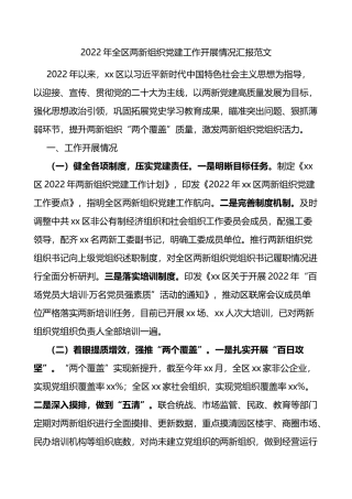 2022年全区两新组织党建工作开展情况汇报范文含亮点问题困难计划工作汇报总结报告