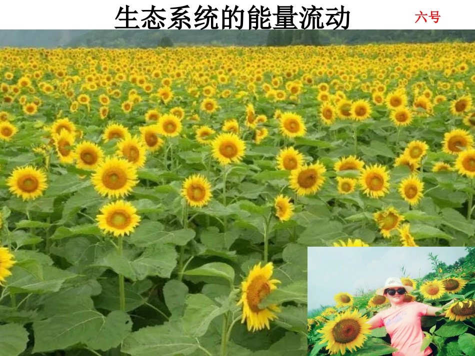 科学·技术·社会-恢复生态学及其应用-(3)_第1页