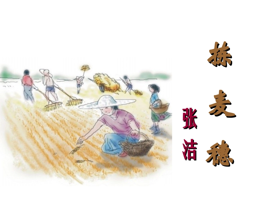 11拣麦穗-(2)_第1页