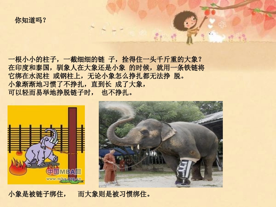 《相信自己-养好习惯讲卫生》主题班会ppt_第3页