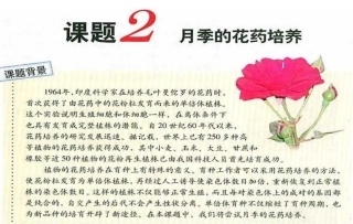 课题2-月季的花药培养-(5)