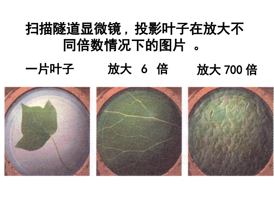 1.2走过分子世界_第3页