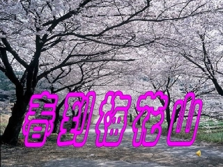 春到梅花山ppt