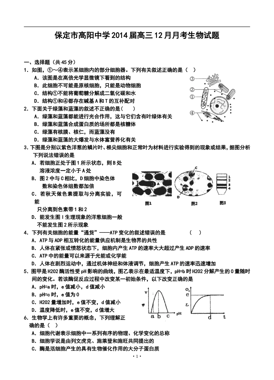 2014届保定市高阳中学高三12月月考生物试题及答案_第1页