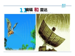 11-蝙蝠和雷达