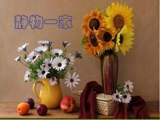8.静物一家
