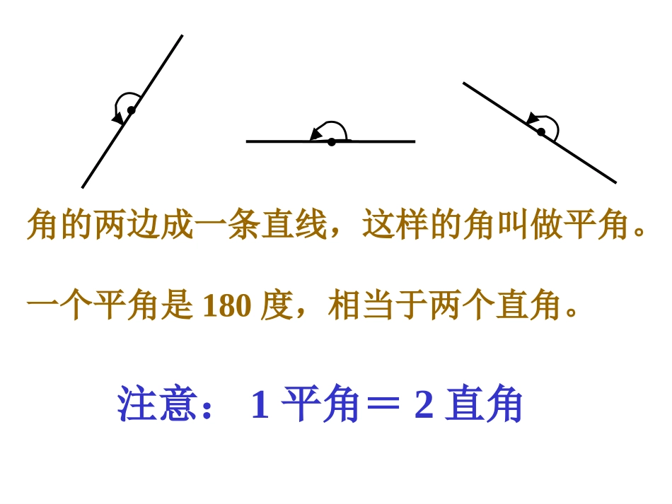 角的分类23PPT_第3页