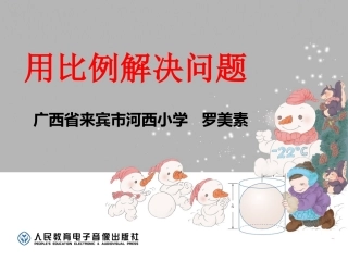 用比例解决问题