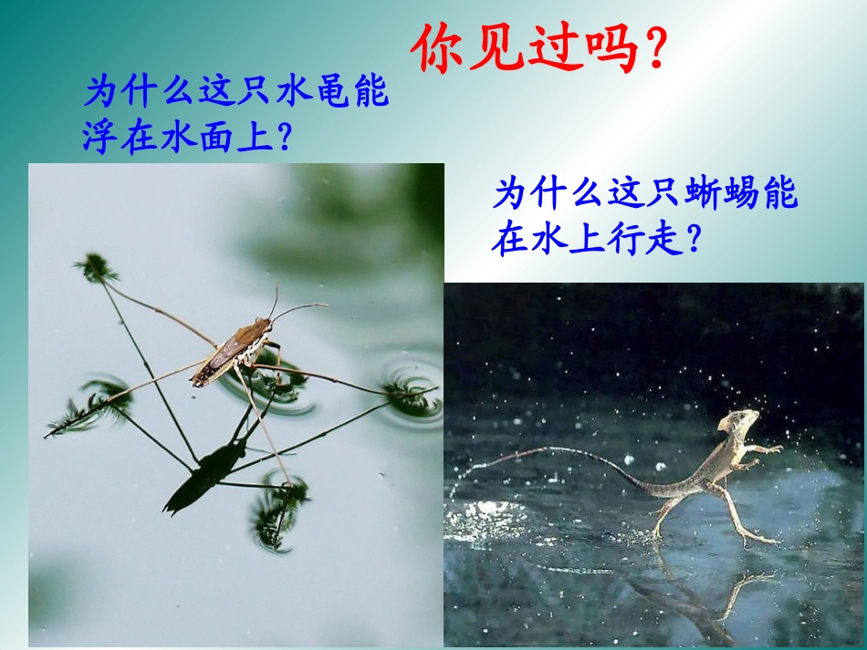 1-固体-(2)_第3页