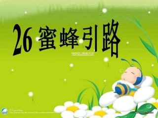 26-蜜蜂引路